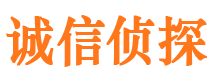 金川侦探